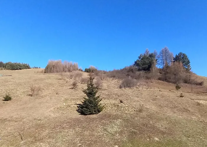 Vakantiehuis Wonkopianka *